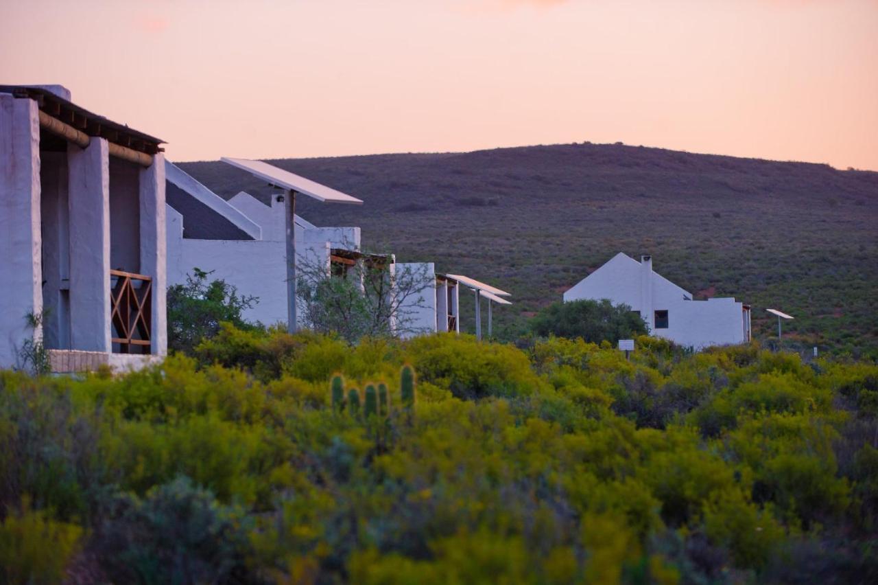 African Game Lodge Montagu Exterior photo